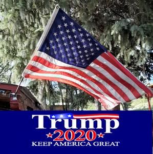 Meet your Posher, Donella